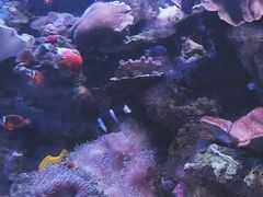 -多彩贵州城极地海洋世界