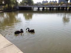 -同济大学(嘉定校区)