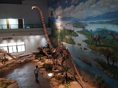 -自贡恐龙博物馆