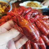 深藏不露的美味川菜｜藏而不语