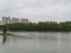 -昆山城市生态森林公园