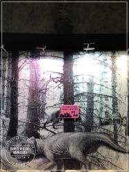 -恐龙探索乐园(磁器口店)