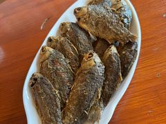 -独流饭店(静海区国土资源分局西)