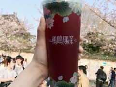 -鸡鸣赐茶(鸡鸣寺路店)