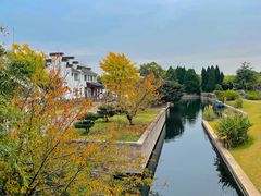 -上海共青森林公园