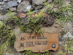 -东沙渔村