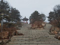 -大兴滨河森林公园