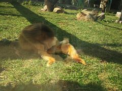 -西安秦岭野生动物园