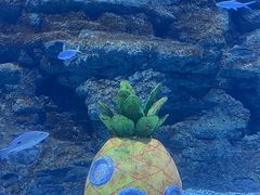 -南昌海洋公园