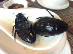 -国家五钻酒家·西樵旺阁渔村(西樵店)