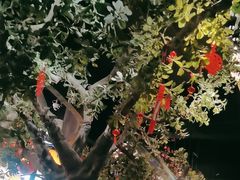 -绿茶餐厅(燕郊永旺店)