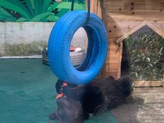 -祥源·阜阳生态乐园