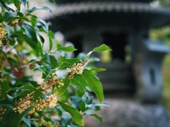 -颐和园