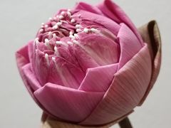 -瓦洛洛传统市场