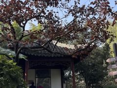 -秋霞圃