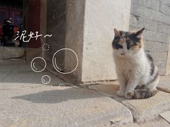 -潭柘寺景区
