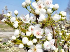 -广富林郊野公园