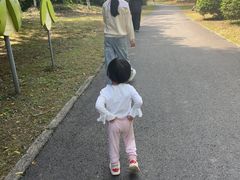 -白鹭湾湿地公园