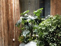 -稻鲜记潮汕砂锅粥