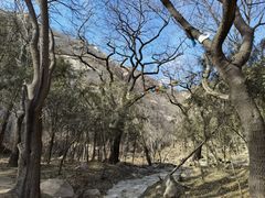 -北京凤凰岭