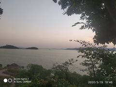 -上海市保健医疗中心