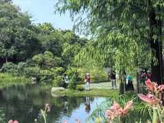 -云溪植物园