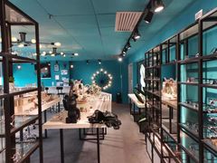 -Trend1881视光·蔡司视觉(领展广场店)