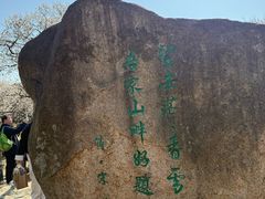 -香雪海