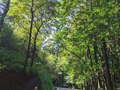-山王坪喀斯特国家生态公园