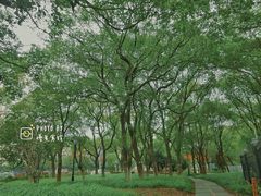 -南昌青山湖风景区