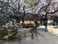 -名古屋城