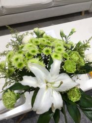 -HEYAN长风荷妍专业脱毛美肤
