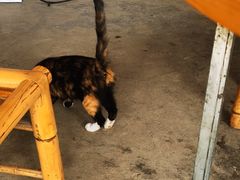 -刘土鸡家常菜