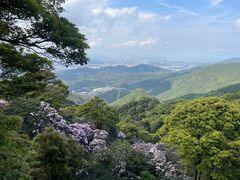 -梧桐山风景名胜区