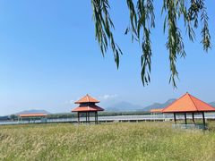 -青龙湖公园