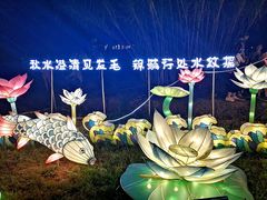 -大塘金香草谷