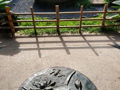 -乌山风景区