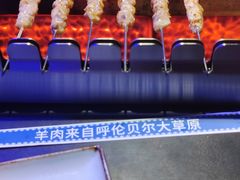 -很久以前羊肉串(清河店)