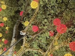 -亭林园-华藏寺