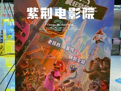 -太平洋影城(紫荆店)
