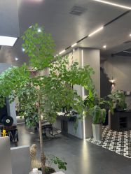 -老肖男士理发店