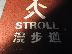 漫步道-北外滩滨江绿地