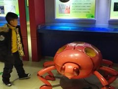 -上海昆虫博物馆