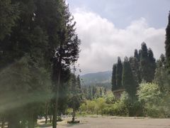 -武陵山森林公园