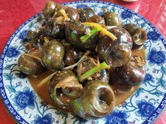 -生态苑农庄(十里画廊遇龙河店)