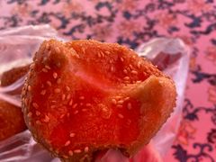 -蒲河大集