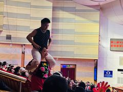 -南风大剧院莎梦二人转剧场