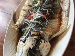 -Local泰莲庭(虹鳟鱼店)