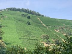 -天目湖御水温泉·度假酒店