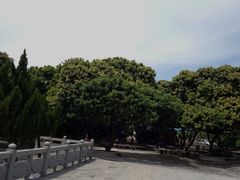 -凤凰山公园-龙王古庙
